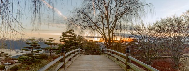 Anxiety Hypnotherapy Cardiff